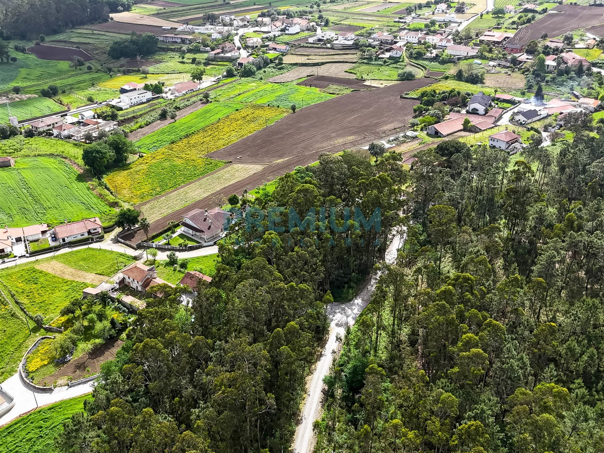 Lote de Terreno  Venda em Creixomil e Mariz,Barcelos
