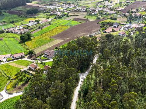 Lote de Terreno  Venda em Creixomil e Mariz,Barcelos