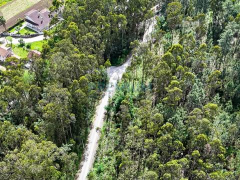 Lote de Terreno  Venda em Creixomil e Mariz,Barcelos
