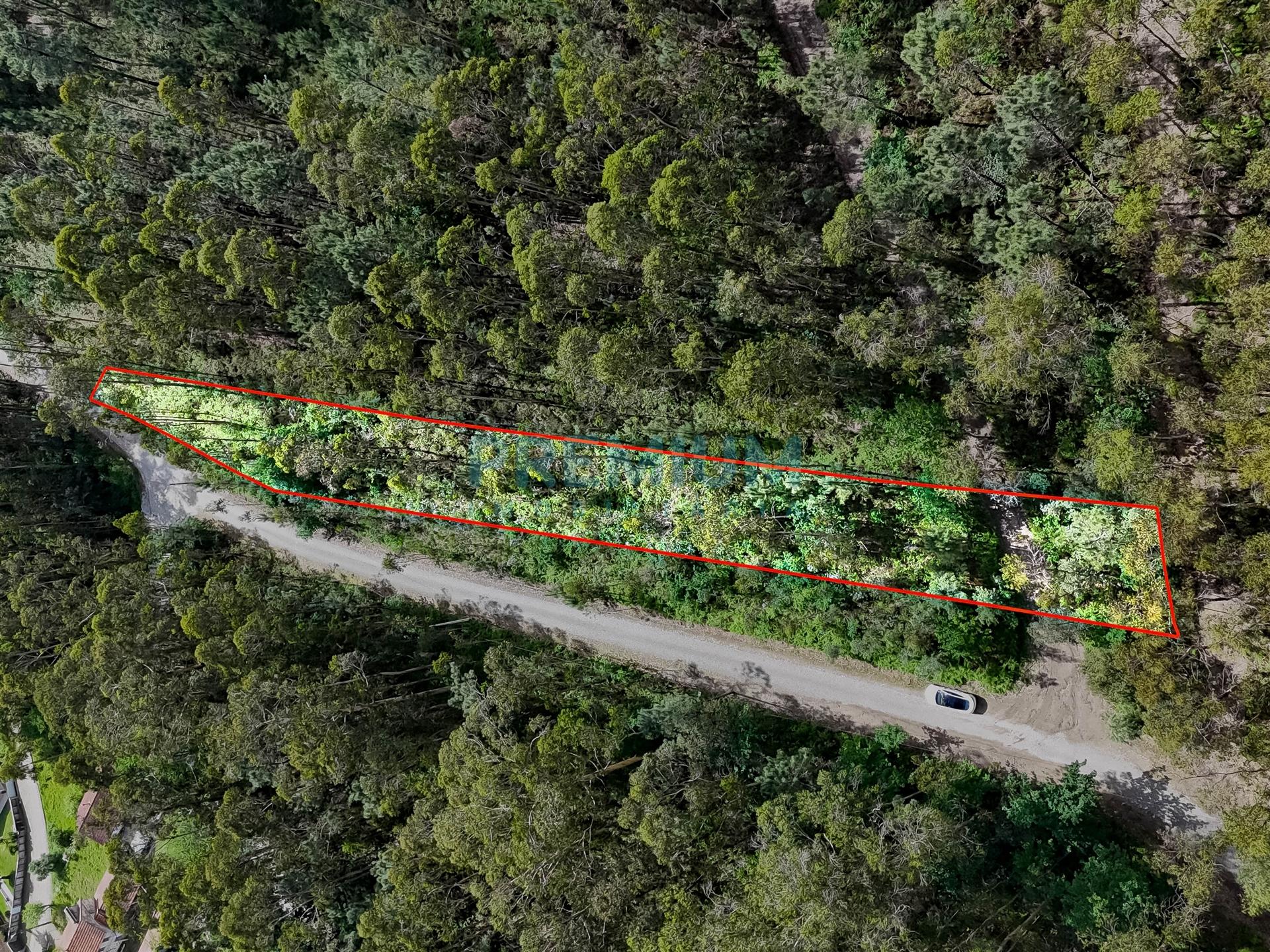 Lote de Terreno  Venda em Creixomil e Mariz,Barcelos