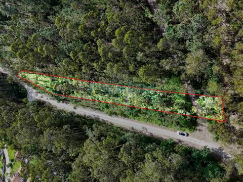 Lote de Terreno  Venda em Creixomil e Mariz,Barcelos