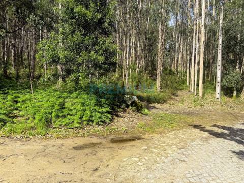 Lote de Terreno  Venda em Creixomil e Mariz,Barcelos