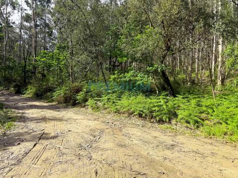 Lote de Terreno  Venda em Creixomil e Mariz,Barcelos