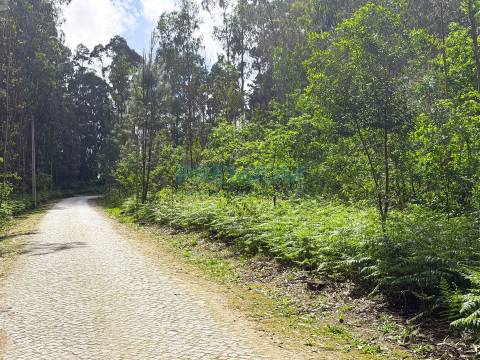 Lote de Terreno  Venda em Creixomil e Mariz,Barcelos