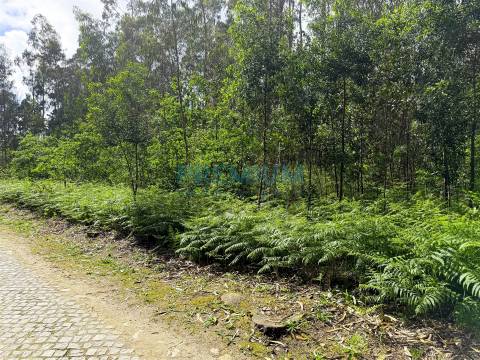 Lote de Terreno  Venda em Creixomil e Mariz,Barcelos