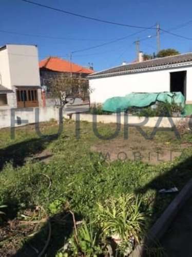 Terreno Para Construção  Venda em Glória do Ribatejo e Granho,Salvaterra de Magos