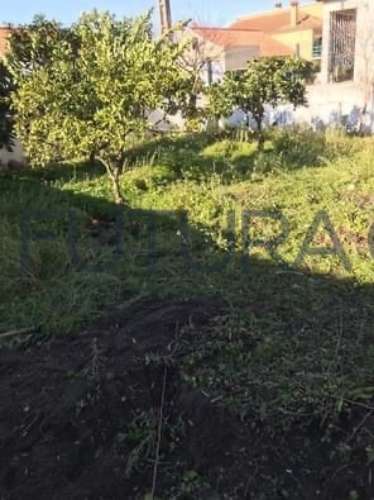 Terreno Para Construção  Venda em Glória do Ribatejo e Granho,Salvaterra de Magos