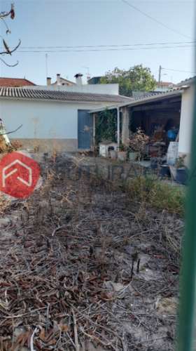 Terreno Para Construção  Venda em Glória do Ribatejo e Granho,Salvaterra de Magos