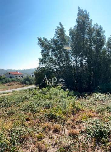 Lote de Terreno  Venda em Bodiosa,Viseu