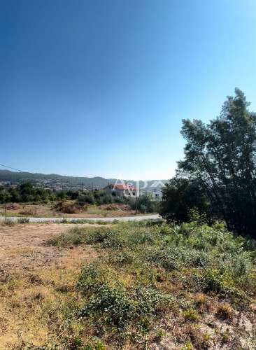 Lote de Terreno  Venda em Bodiosa,Viseu