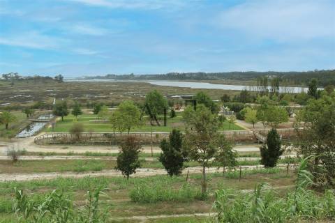 Restaurante  Venda em Sosa,Vagos