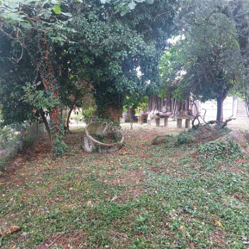 Moradia em pedra para restauro em Vila Verde - Excelente oportunidade! Nedyal-Imobiliária