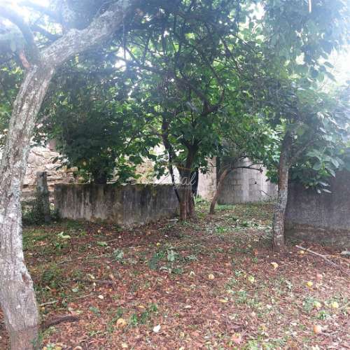 Moradia em pedra para restauro em Vila Verde - Excelente oportunidade! Nedyal-Imobiliária