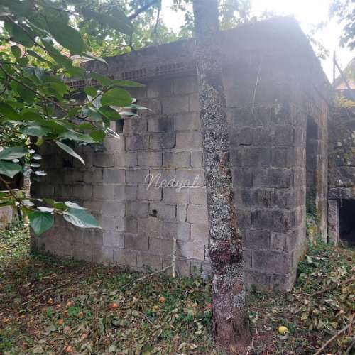 Moradia em pedra para restauro em Vila Verde - Excelente oportunidade! Nedyal-Imobiliária