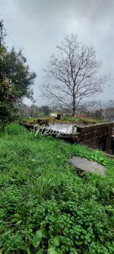 Moradia em pedra para restauro em Vila Verde - Excelente oportunidade! Nedyal-Imobiliária