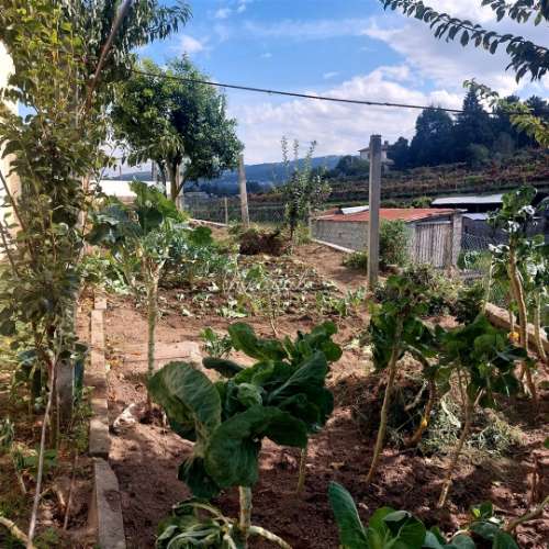 Excelente moradia T4 em pleno centro de Amares!