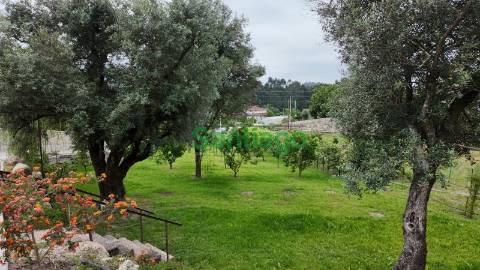 Quintinha T4 c/ Piscina e Pomar!