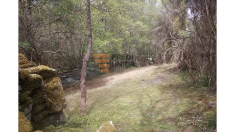 Moradia Rústica T1 DUPLEX Venda em Tinhela e Alvarelhos,Valpaços