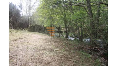 Moradia Rústica T1 DUPLEX Venda em Tinhela e Alvarelhos,Valpaços