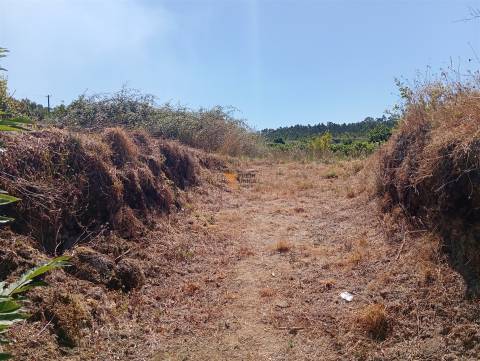 Terreno 3.000m2 Duas igrejas