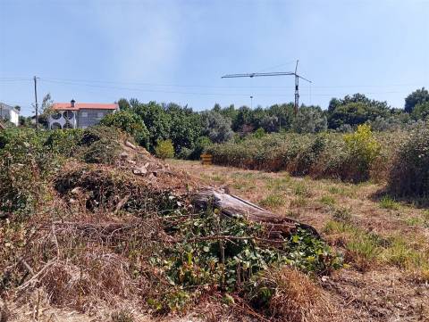 Terreno 3.000m2 Duas igrejas