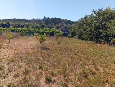 Terreno 3.000m2 Duas igrejas