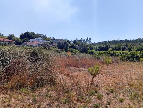 Terreno 3.000m2 Duas igrejas