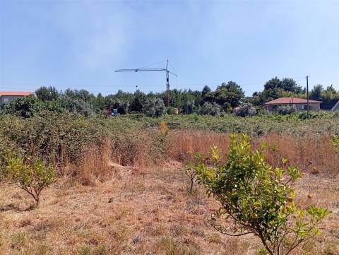 Terreno 3.000m2 Duas igrejas