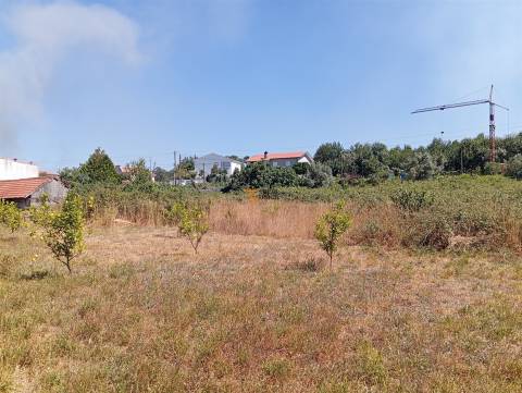 Terreno 3.000m2 Duas igrejas