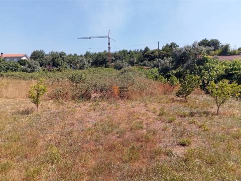 Terreno 3.000m2 Duas igrejas