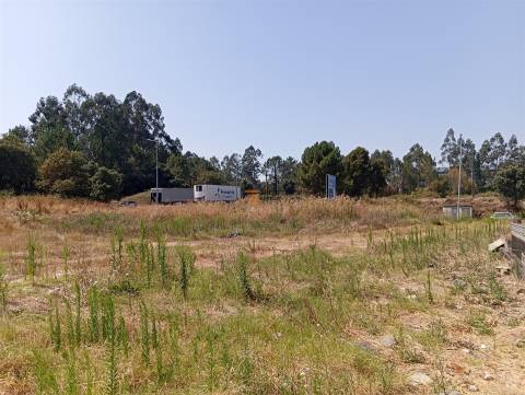 Terreno Rústico  Venda em Valongo,Valongo