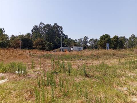 Terreno Rústico  Venda em Valongo,Valongo