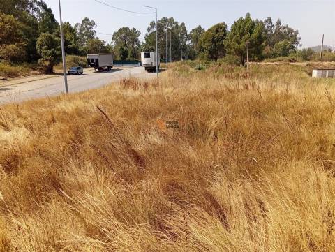Terreno Rústico  Venda em Valongo,Valongo
