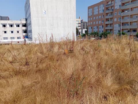 Terreno Rústico  Venda em Valongo,Valongo