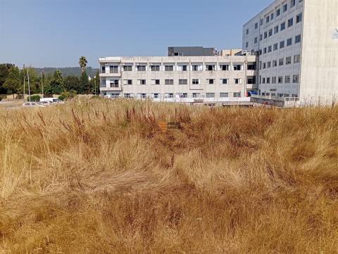 Terreno Rústico  Venda em Valongo,Valongo