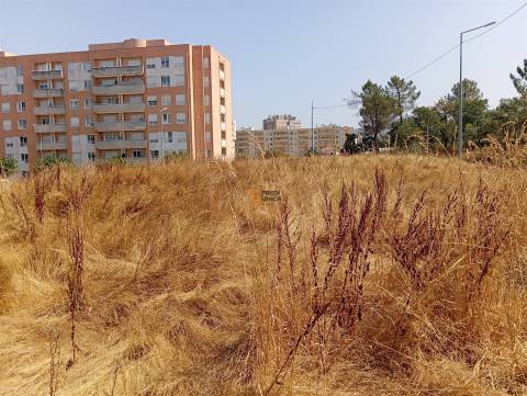 Terreno Rústico  Venda em Valongo,Valongo