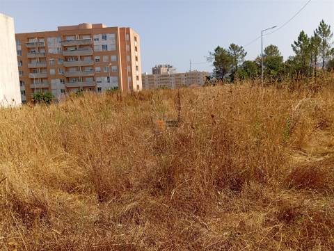 Terreno Rústico  Venda em Valongo,Valongo