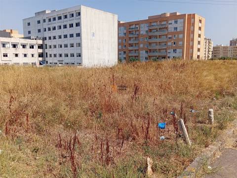 Terreno Rústico  Venda em Valongo,Valongo