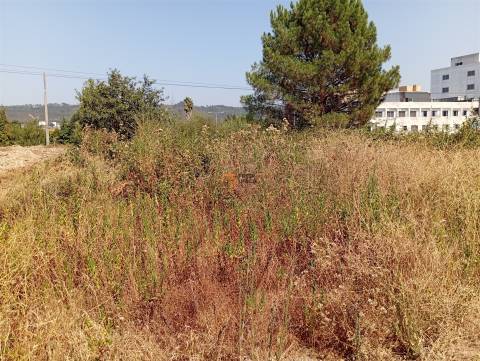 Terreno Rústico  Venda em Valongo,Valongo