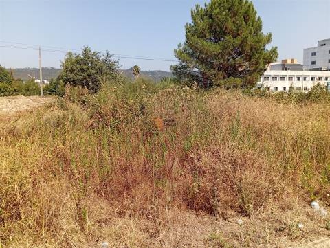 Terreno Rústico  Venda em Valongo,Valongo
