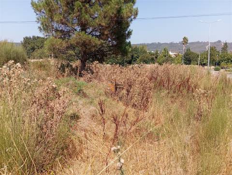 Terreno Rústico  Venda em Valongo,Valongo