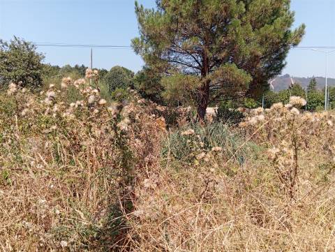 Terreno Rústico  Venda em Valongo,Valongo