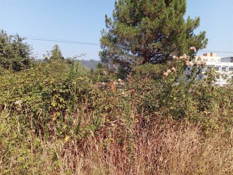 Terreno Rústico  Venda em Valongo,Valongo
