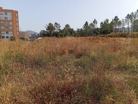 Terreno Rústico  Venda em Valongo,Valongo