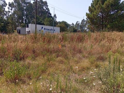 Terreno Rústico  Venda em Valongo,Valongo