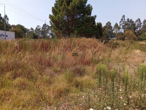 Terreno Rústico  Venda em Valongo,Valongo