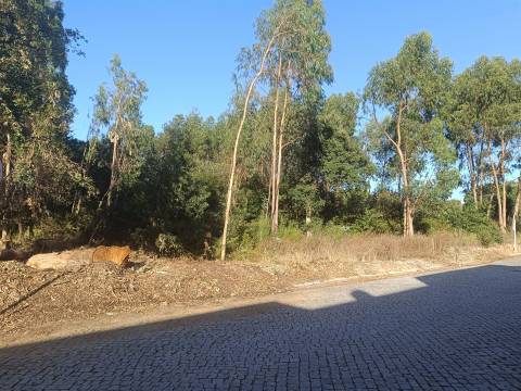 Terreno em Vilar do Pinheiro - Vila do Conde