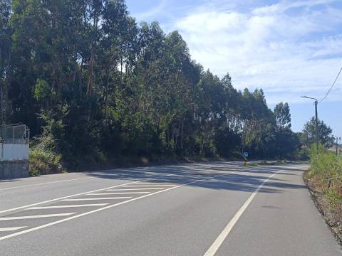 Terreno em Vilar do Pinheiro - Vila do Conde