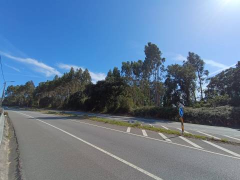 Terreno em Vilar do Pinheiro - Vila do Conde