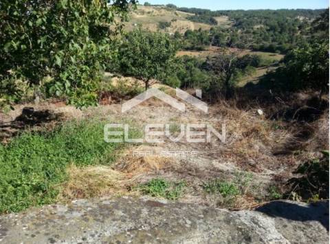 Duas Excelentes Moradias e Terreno Trevões São João Pesqueira
